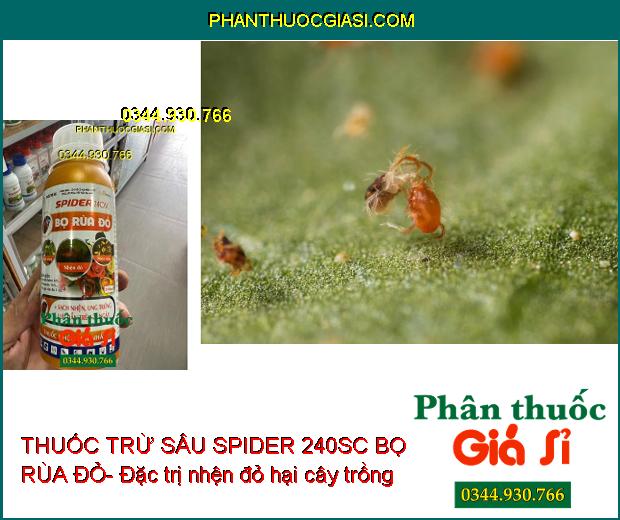 THUỐC TRỪ SÂU SPIDER 240SC BỌ RÙA ĐỎ