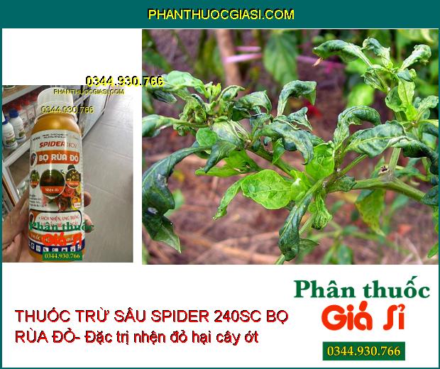 THUỐC TRỪ SÂU SPIDER 240SC BỌ RÙA ĐỎ