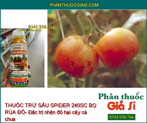 THUỐC TRỪ SÂU SPIDER 240SC BỌ RÙA ĐỎ