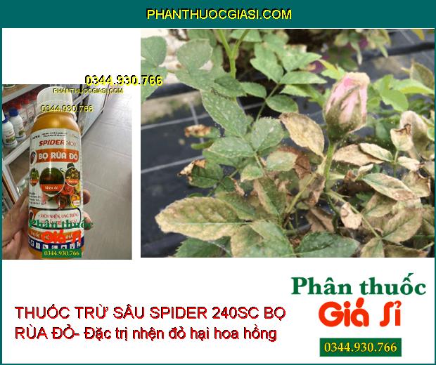 THUỐC TRỪ SÂU SPIDER 240SC BỌ RÙA ĐỎ