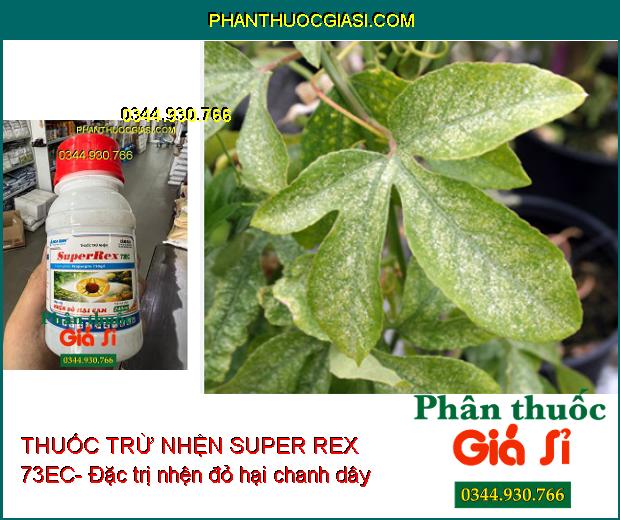 THUỐC TRỪ NHỆN SUPER REX 73EC-