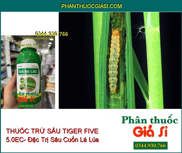 THUỐC TRỪ SÂU TIGER FIVE 5.0EC- Đặc Trị Sâu Cuốn Lá