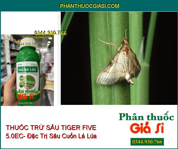 THUỐC TRỪ SÂU TIGER FIVE 5.0EC- Đặc Trị Sâu Cuốn Lá