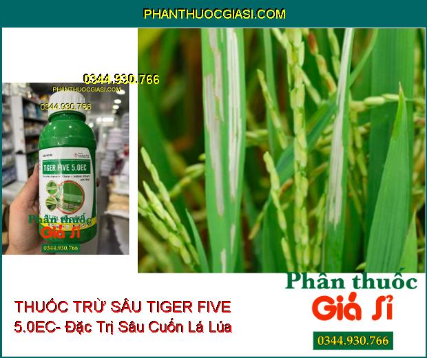 THUỐC TRỪ SÂU TIGER FIVE 5.0EC- Đặc Trị Sâu Cuốn Lá