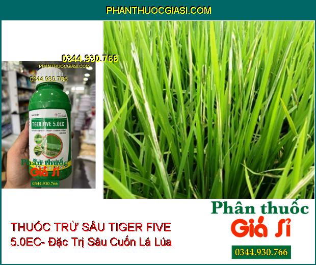 THUỐC TRỪ SÂU TIGER FIVE 5.0EC- Đặc Trị Sâu Cuốn Lá