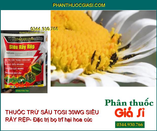 THUỐC TRỪ SÂU TOSI 30WG SIÊU RẦY RỆP