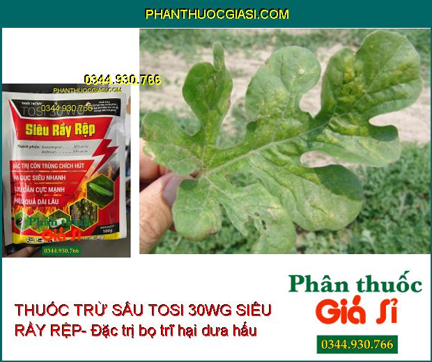 THUỐC TRỪ SÂU TOSI 30WG SIÊU RẦY RỆP