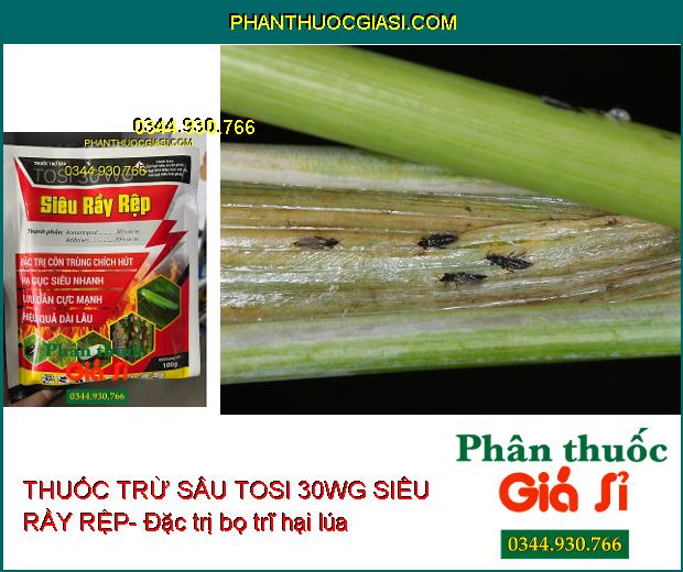 THUỐC TRỪ SÂU TOSI 30WG SIÊU RẦY RỆP