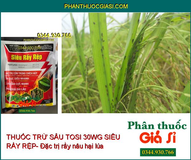 THUỐC TRỪ SÂU TOSI 30WG SIÊU RẦY RỆP