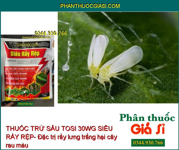 THUỐC TRỪ SÂU TOSI 30WG SIÊU RẦY RỆP