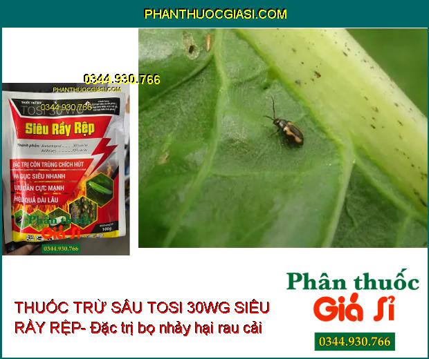 THUỐC TRỪ SÂU TOSI 30WG SIÊU RẦY RỆP