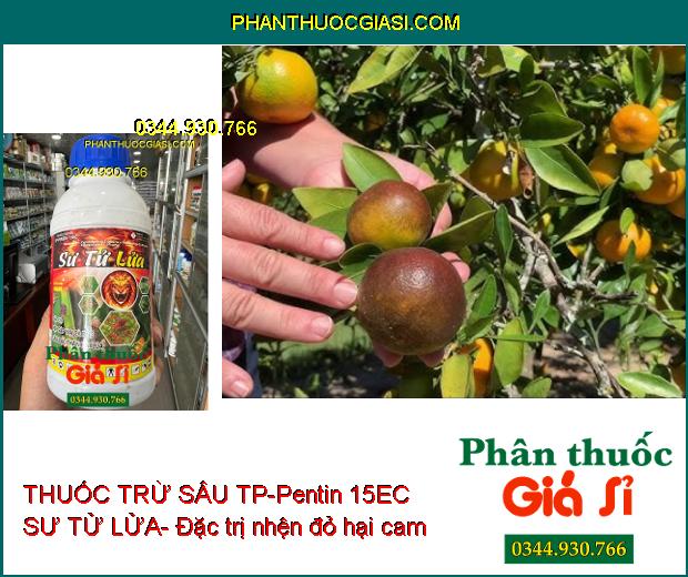 THUỐC TRỪ SÂU TP-Pentin 15EC SƯ TỬ LỬA