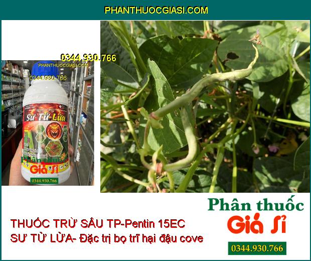 THUỐC TRỪ SÂU TP-Pentin 15EC SƯ TỬ LỬA