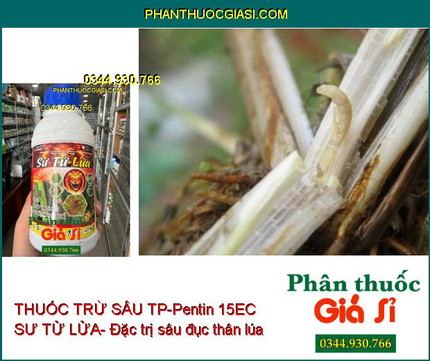 THUỐC TRỪ SÂU TP-Pentin 15EC SƯ TỬ LỬA