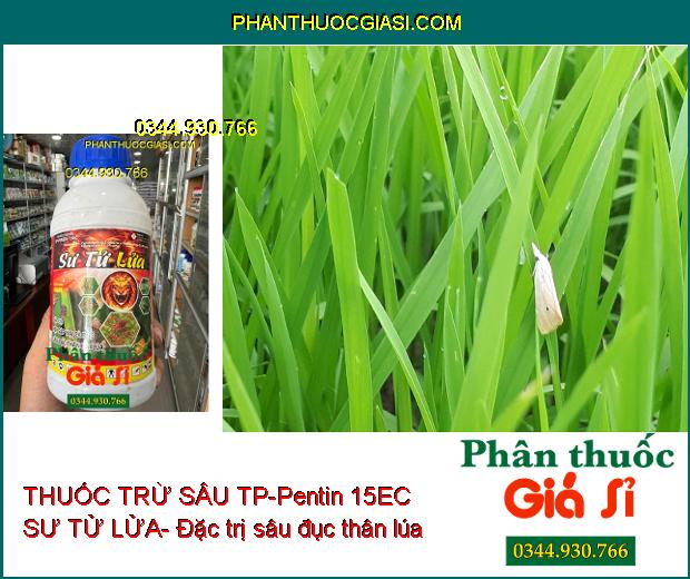 THUỐC TRỪ SÂU TP-Pentin 15EC SƯ TỬ LỬA