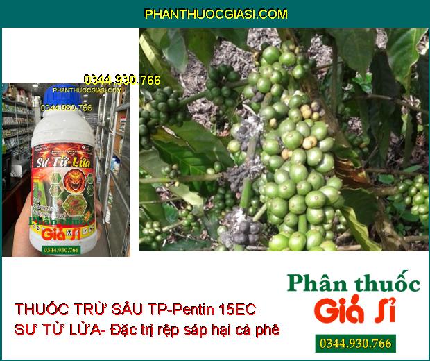 THUỐC TRỪ SÂU TP-Pentin 15EC SƯ TỬ LỬA