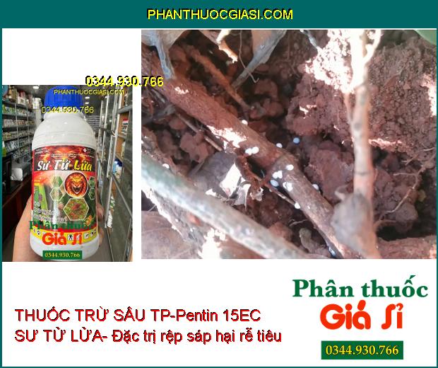 THUỐC TRỪ SÂU TP-Pentin 15EC SƯ TỬ LỬA