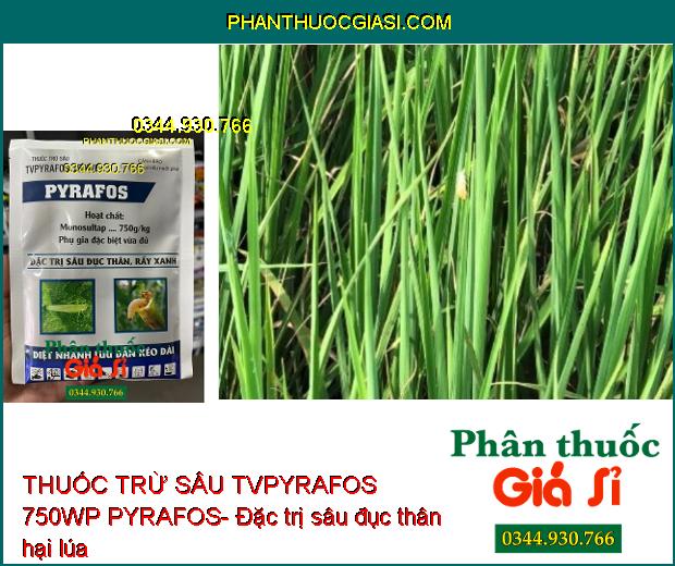 THUỐC TRỪ SÂU TVPYRAFOS 750WP PYRAFOS