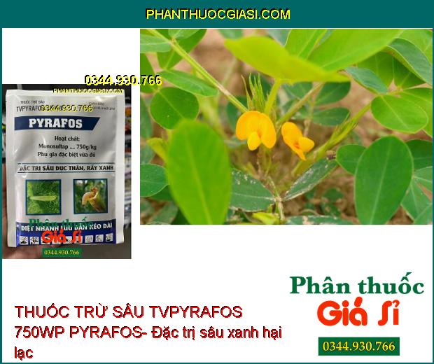 THUỐC TRỪ SÂU TVPYRAFOS 750WP PYRAFOS