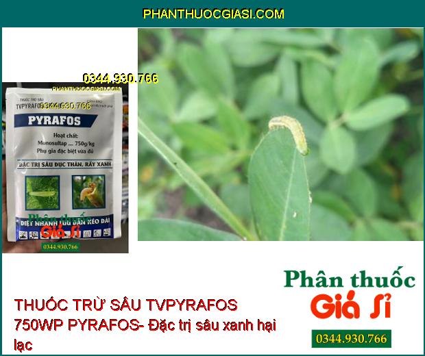 THUỐC TRỪ SÂU TVPYRAFOS 750WP PYRAFOS