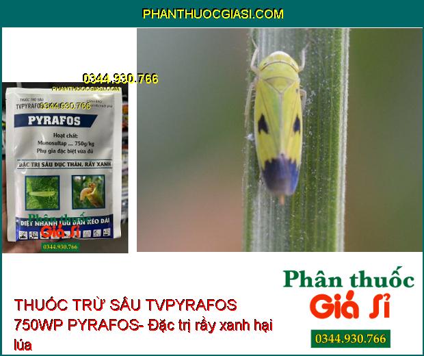 THUỐC TRỪ SÂU TVPYRAFOS 750WP PYRAFOS