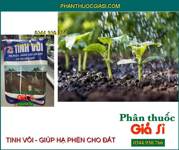 TINH VÔI - Hạ Phèn - Nâng Cao pH Đất - Cải Tạo Keo Đất