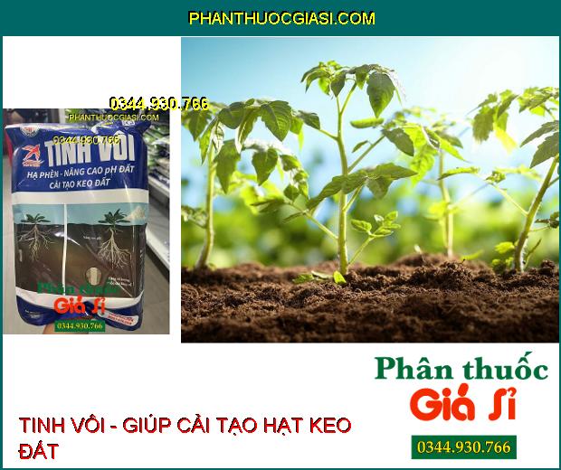 TINH VÔI - Hạ Phèn - Nâng Cao pH Đất - Cải Tạo Keo Đất