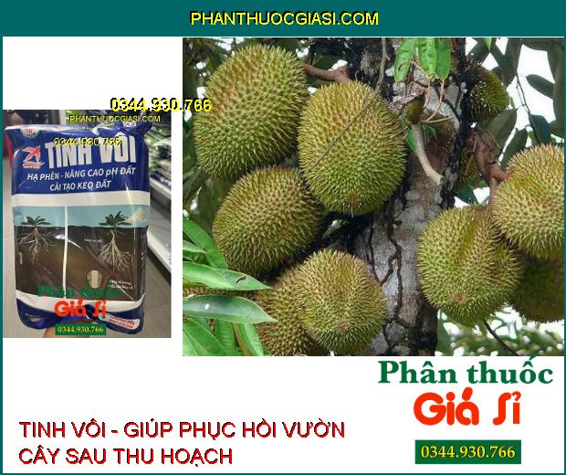 TINH VÔI - Hạ Phèn - Nâng Cao pH Đất - Cải Tạo Keo Đất