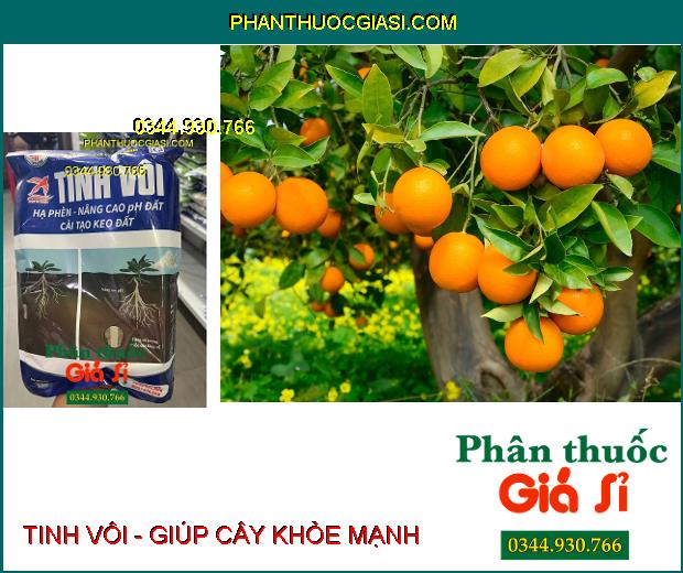 TINH VÔI - Hạ Phèn - Nâng Cao pH Đất - Cải Tạo Keo Đất