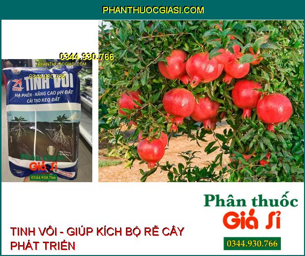 TINH VÔI - Hạ Phèn - Nâng Cao pH Đất - Cải Tạo Keo Đất