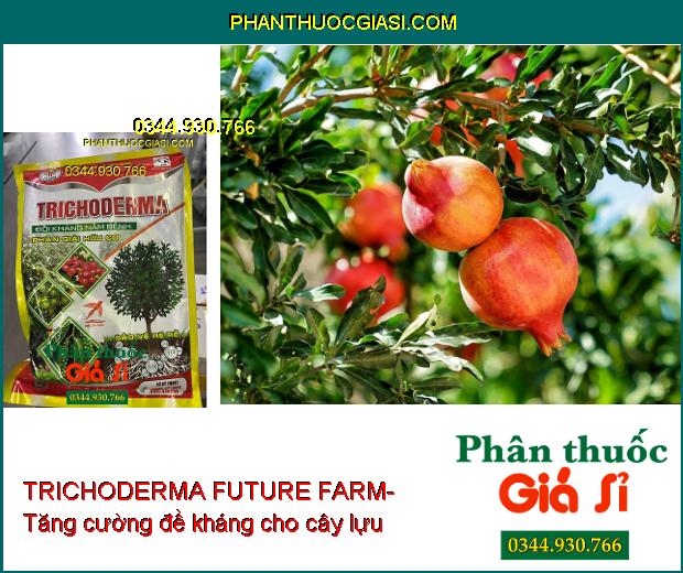 TRICHODERMA FUTURE FARM- Đối Kháng Nấm Bệnh- Phân Giải Hữu Cơ