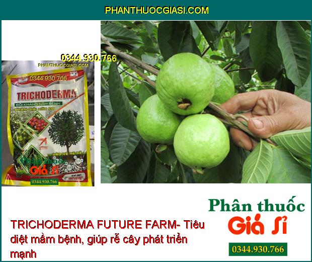 TRICHODERMA FUTURE FARM- Đối Kháng Nấm Bệnh- Phân Giải Hữu Cơ