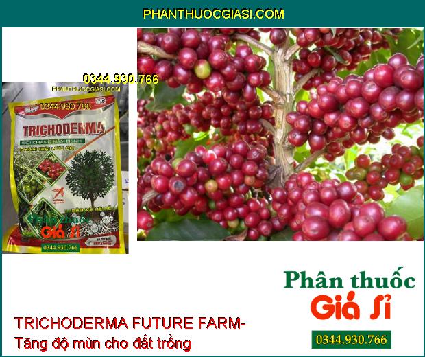 TRICHODERMA FUTURE FARM- Đối Kháng Nấm Bệnh- Phân Giải Hữu Cơ