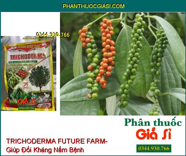 TRICHODERMA FUTURE FARM- Đối Kháng Nấm Bệnh- Phân Giải Hữu Cơ