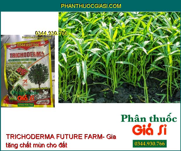 TRICHODERMA FUTURE FARM- Đối Kháng Nấm Bệnh- Phân Giải Hữu Cơ