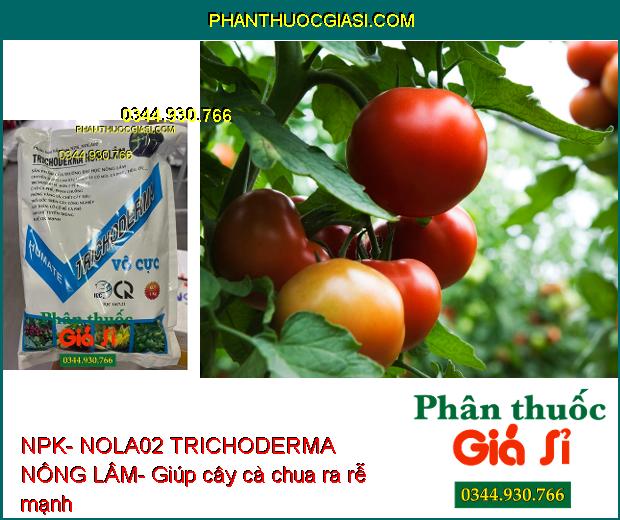 NPK- NOLA02 TRICHODERMA NÔNG LÂM- Ức Chế Nấm Bệnh Hại Cây Trồng