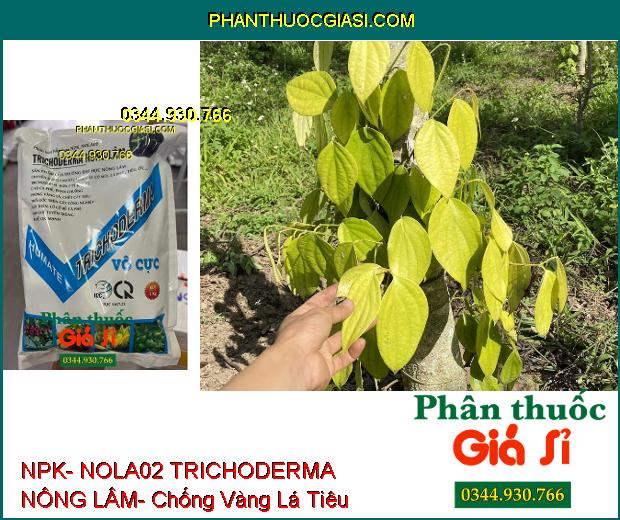 NPK- NOLA02 TRICHODERMA NÔNG LÂM- Ức Chế Nấm Bệnh Hại Cây Trồng