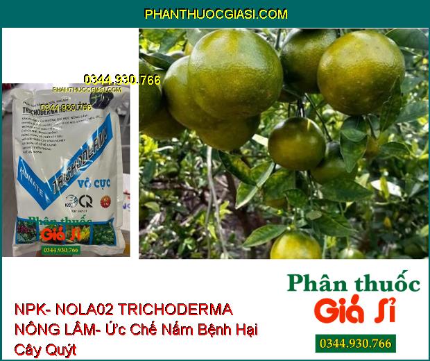 NPK- NOLA02 TRICHODERMA NÔNG LÂM- Ức Chế Nấm Bệnh Hại Cây Trồng