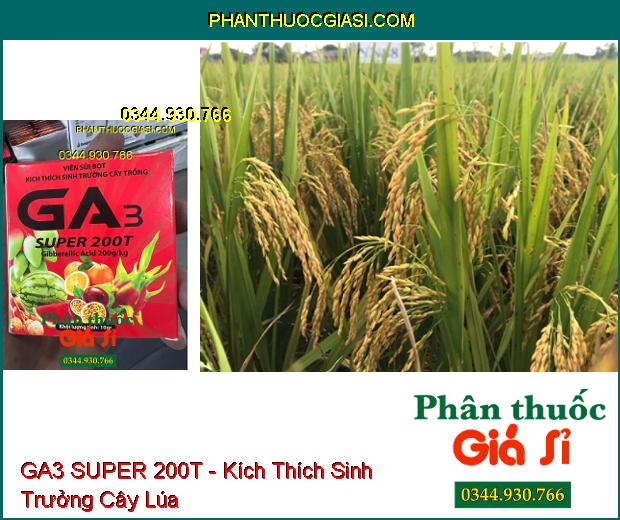 GA3 SUPER 200T - Viên Sủi Bọt Kích Thích Sinh Trưởng Cây Trồng