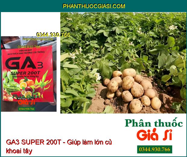 GA3 SUPER 200T - Viên Sủi Bọt Kích Thích Sinh Trưởng Cây Trồng