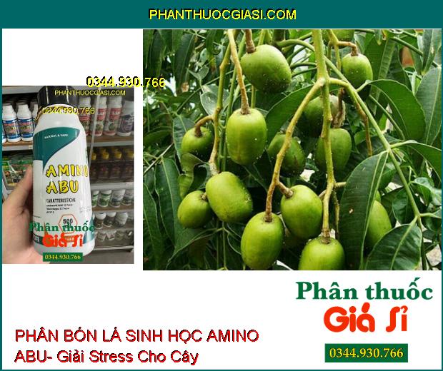 PHÂN BÓN LÁ SINH HỌC AMINO ABU- Cân Bằng Dinh Dưỡng Cây Trồng- Làm Lớn Trái Nhanh