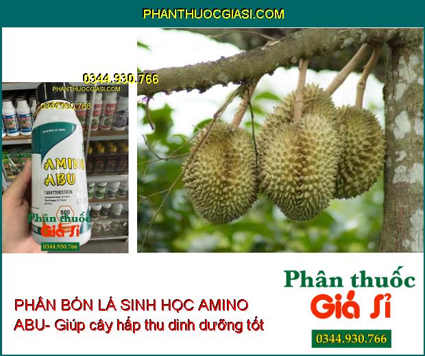 PHÂN BÓN LÁ SINH HỌC AMINO ABU- Cân Bằng Dinh Dưỡng Cây Trồng- Làm Lớn Trái Nhanh