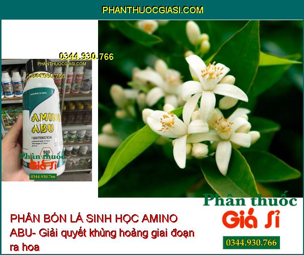 PHÂN BÓN LÁ SINH HỌC AMINO ABU- Cân Bằng Dinh Dưỡng Cây Trồng- Làm Lớn Trái Nhanh