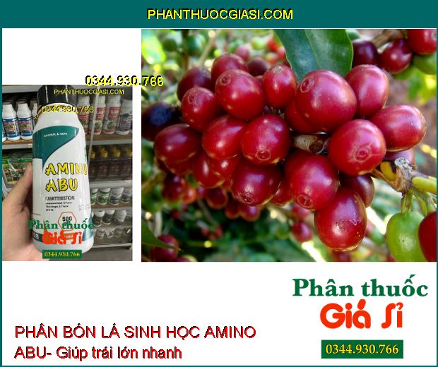 PHÂN BÓN LÁ SINH HỌC AMINO ABU- Cân Bằng Dinh Dưỡng Cây Trồng- Làm Lớn Trái Nhanh