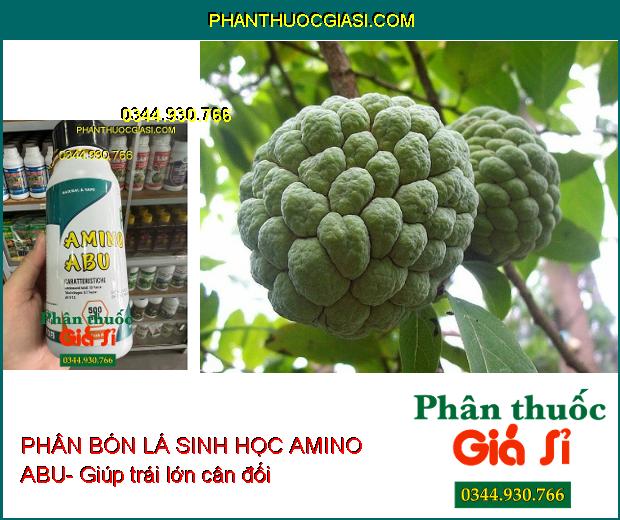 PHÂN BÓN LÁ SINH HỌC AMINO ABU- Cân Bằng Dinh Dưỡng Cây Trồng- Làm Lớn Trái Nhanh