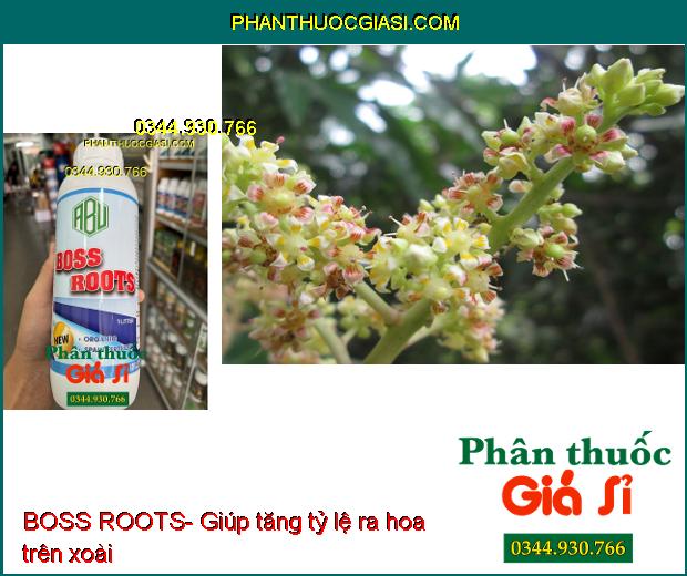 BOSS ROOTS- Ra Rễ Cực Mạnh- Tăng Khả Năng Quang Hợp- Tăng Ra Hoa