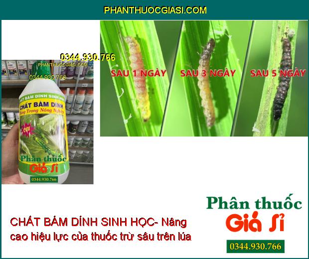 CHẤT BÁM DÍNH SINH HỌC- Nâng Cao Hiệu Lực Và Độ Bền Của Phân Bón Và Thuốc BVTV