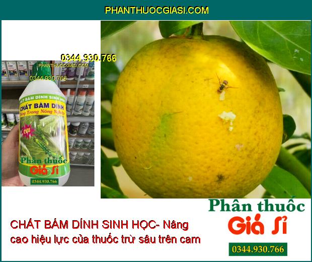 CHẤT BÁM DÍNH SINH HỌC- Nâng Cao Hiệu Lực Và Độ Bền Của Phân Bón Và Thuốc BVTV