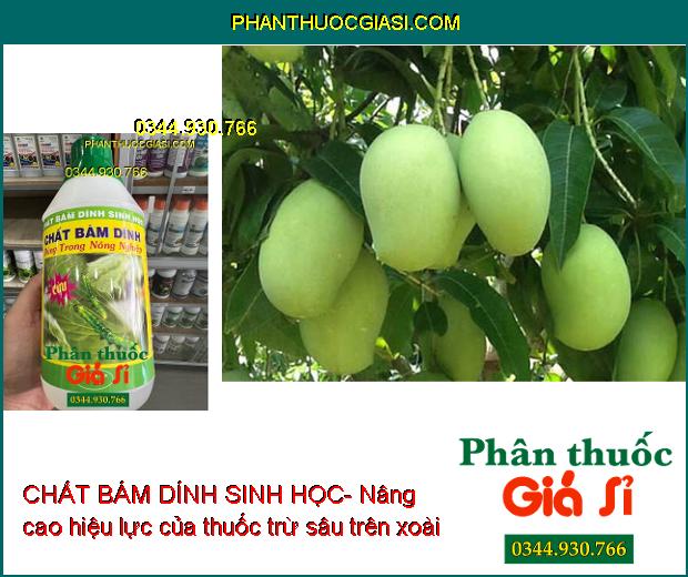 CHẤT BÁM DÍNH SINH HỌC- Nâng Cao Hiệu Lực Và Độ Bền Của Phân Bón Và Thuốc BVTV