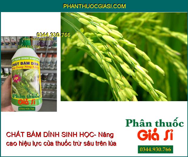 CHẤT BÁM DÍNH SINH HỌC- Nâng Cao Hiệu Lực Và Độ Bền Của Phân Bón Và Thuốc BVTV